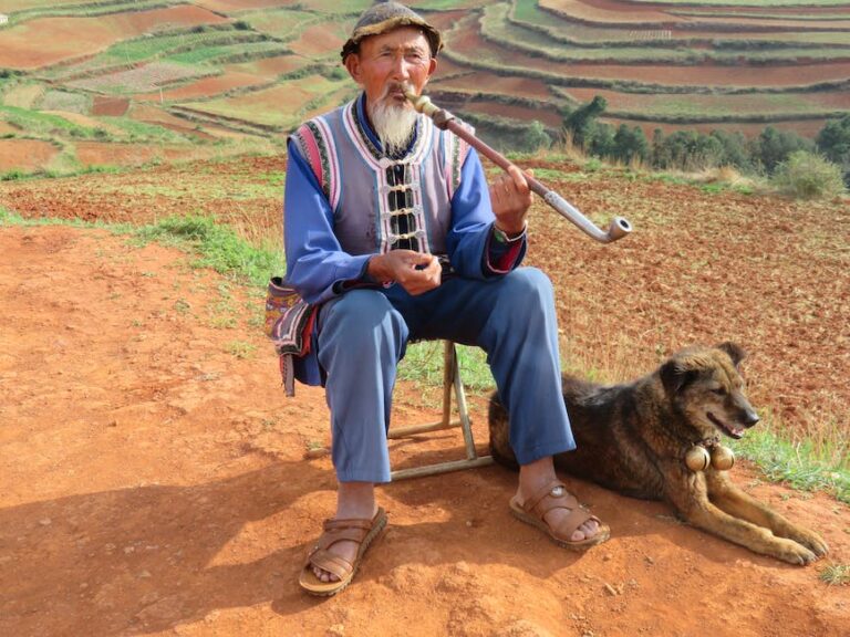 Quanto custa uma cirurgia para tirar o bigode chinês? Quanto custa uma cirurgia para tirar o bigode chinês?