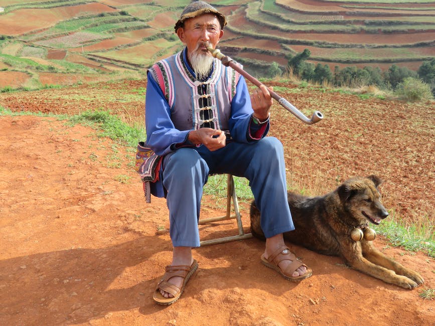 Causas e tratamentos⁢ para o Bigode Chinês: tudo o que ⁤você ​precisa ‍saber