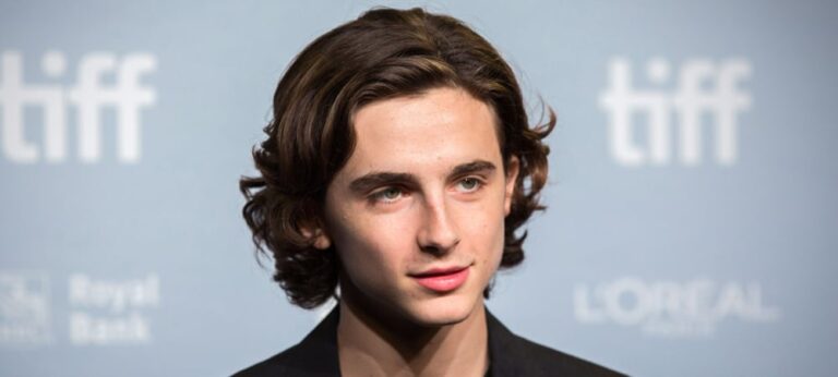como-conseguir-o-cabelo-glorioso-de-timothee-chalamet