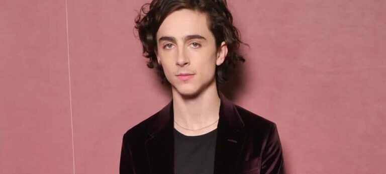 timothee-chalamet:-10-licoes-de-estilo-facil