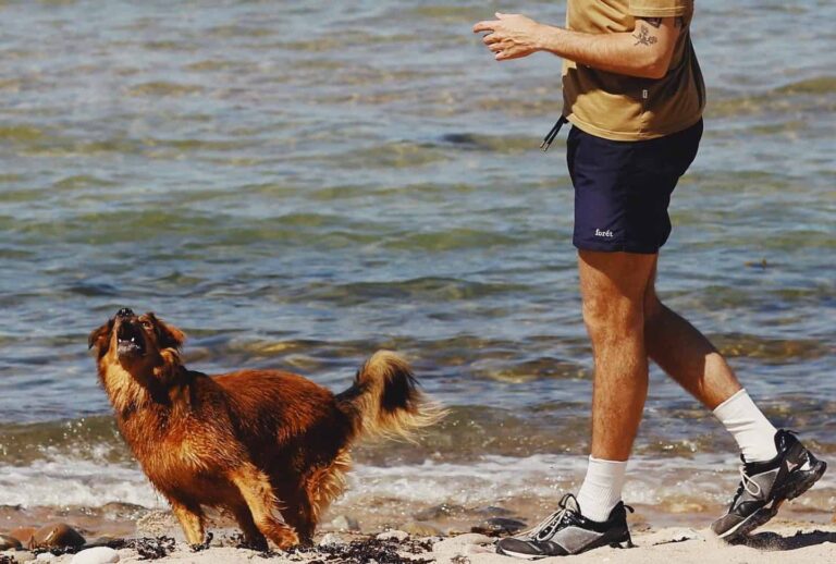 10-melhores-shorts-hibridos-para-homens-–-prontos-para-o-verao-de-2025